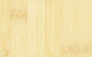 Bamboo