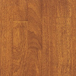 Iroko