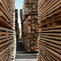 timber-warehouse